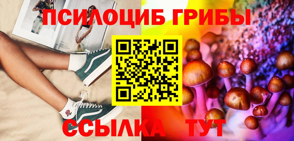Саратов  Псилоцибиновые грибы прущие грибы  Псилоцибиновые грибы Magic Shrooms  Вход с VPN 