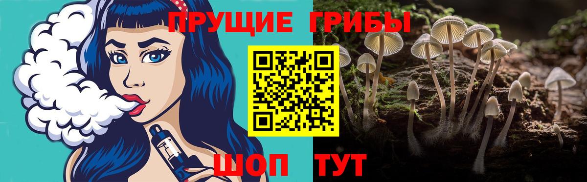 Псилоцибиновые грибы Cubensis Саратов